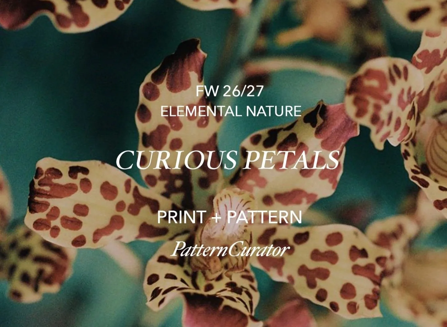 CURIOUS PETALS