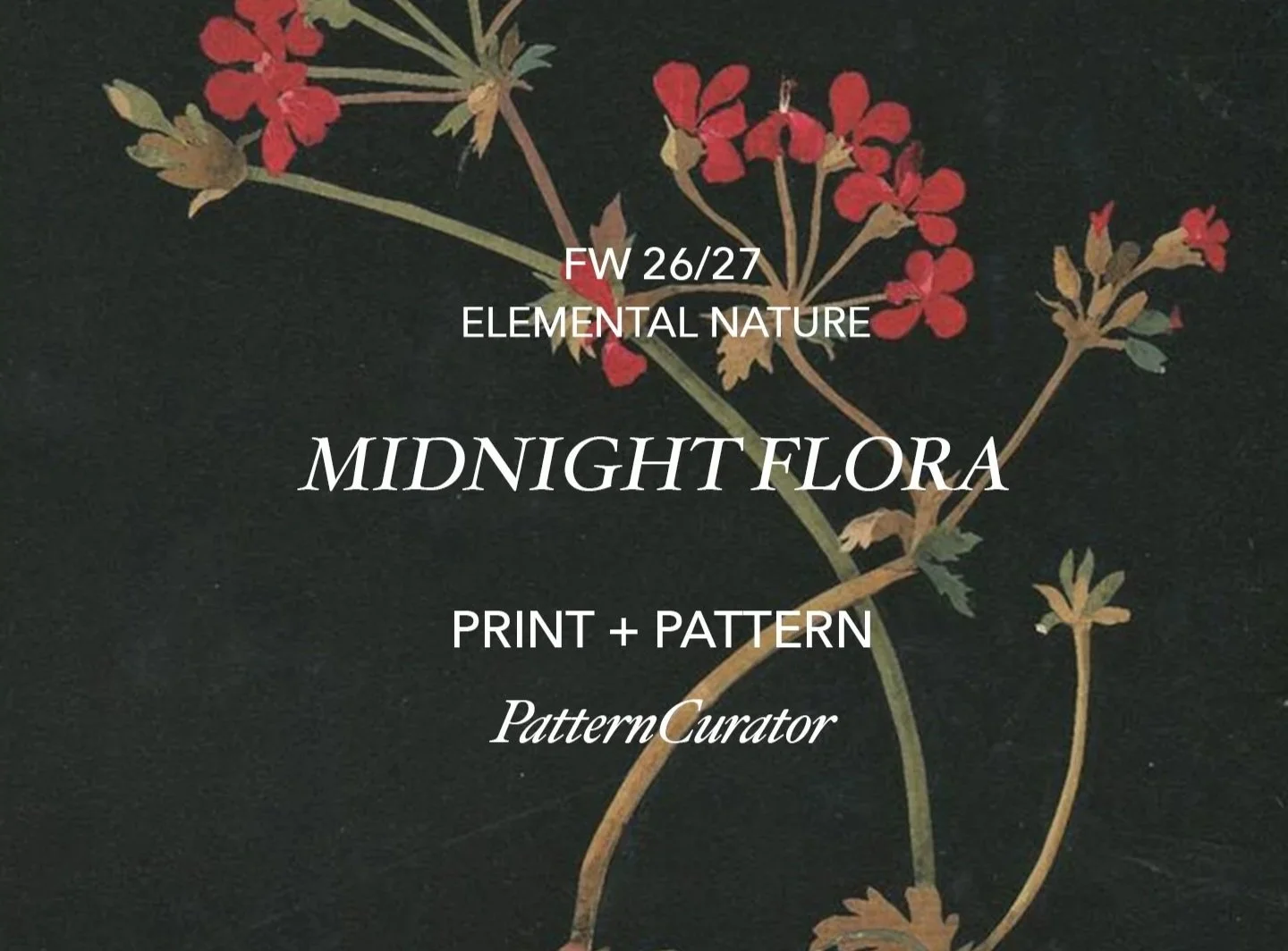 MIDNIGHT FLORA