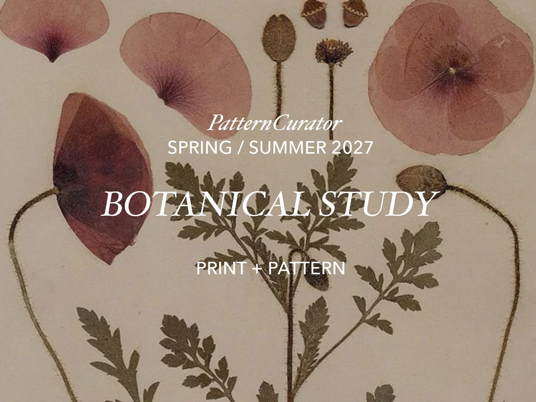 BOTANICAL STUDY