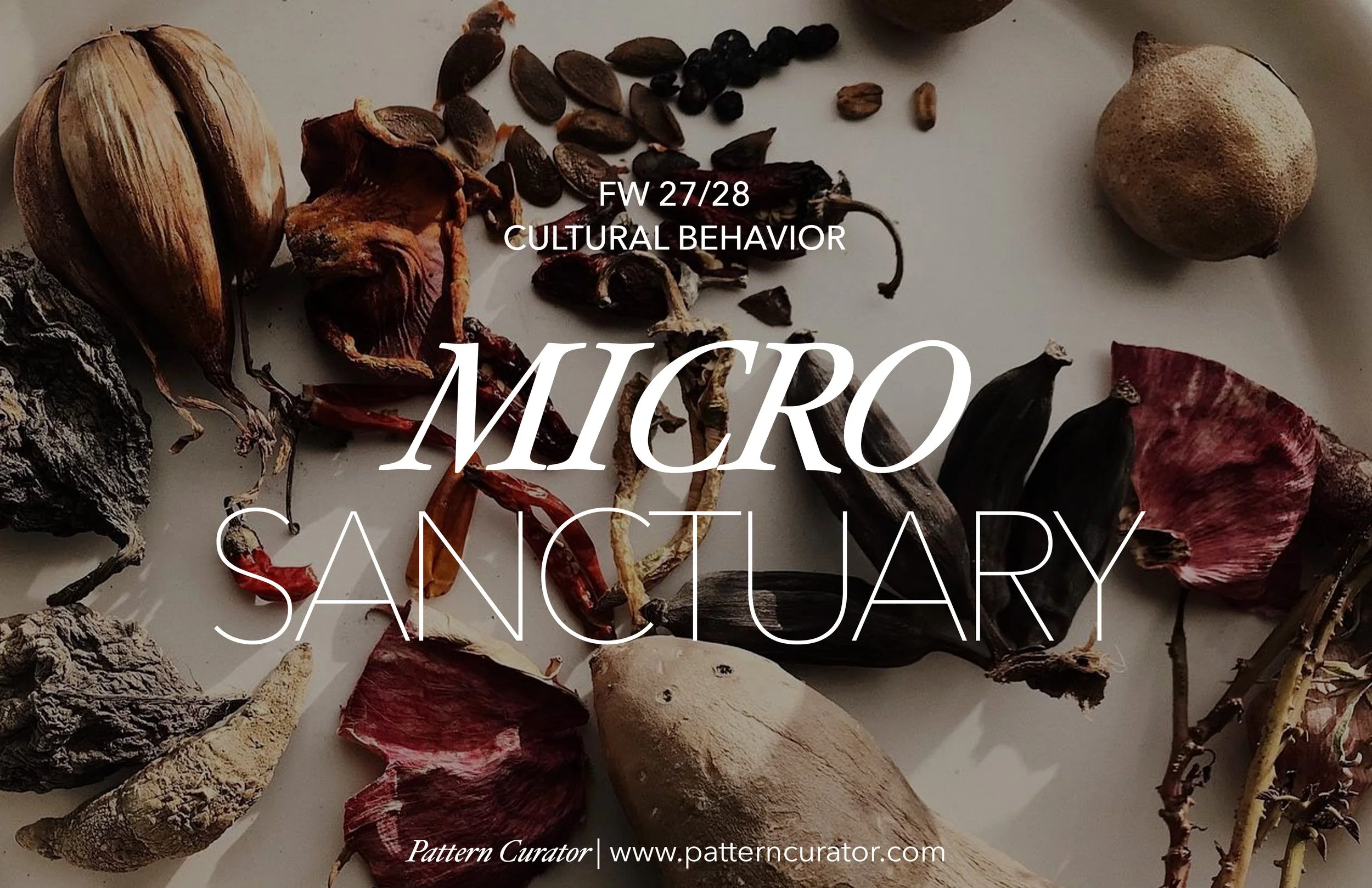 MICRO SANCTUARY