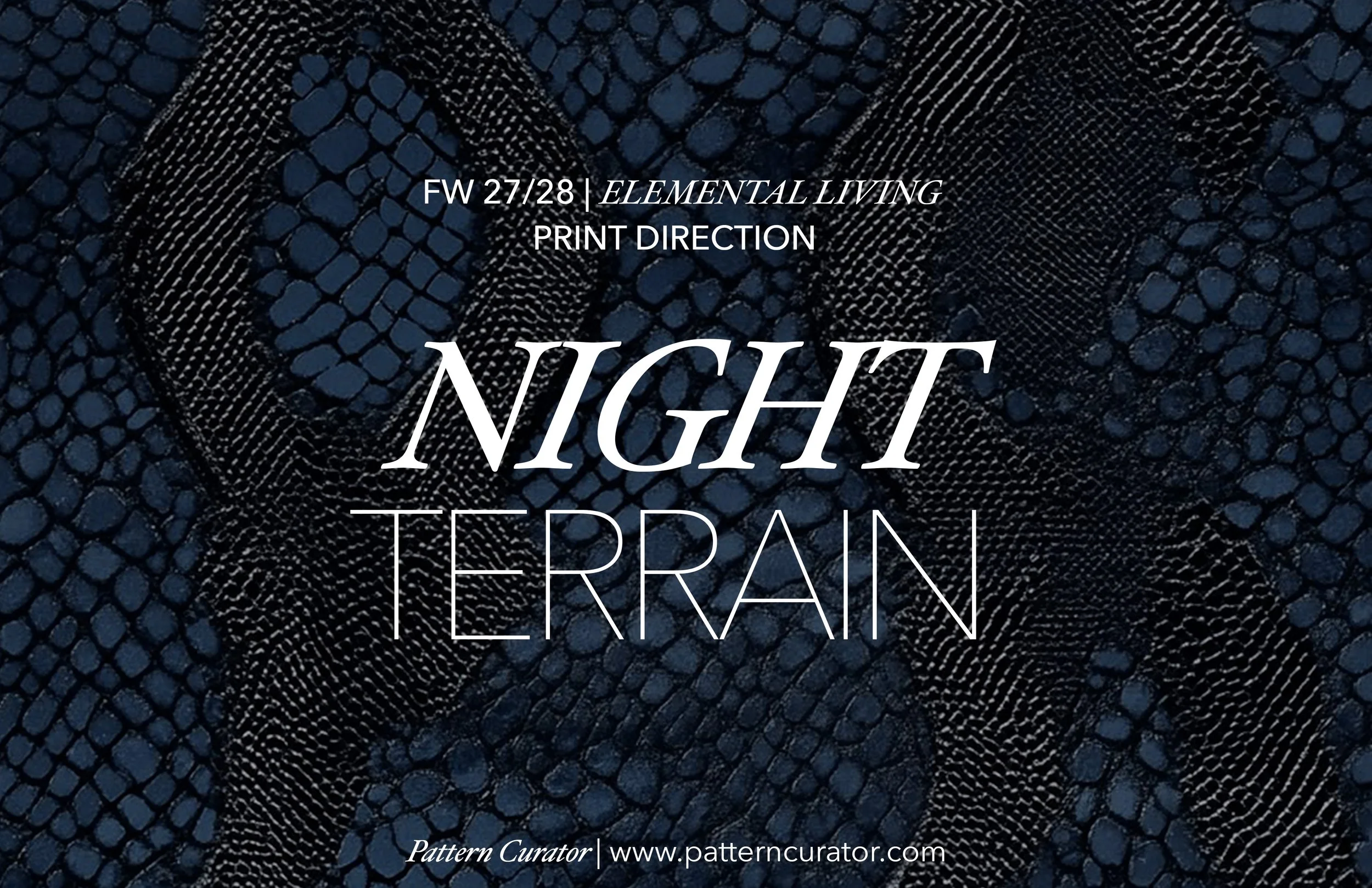 NIGHT TERRAIN