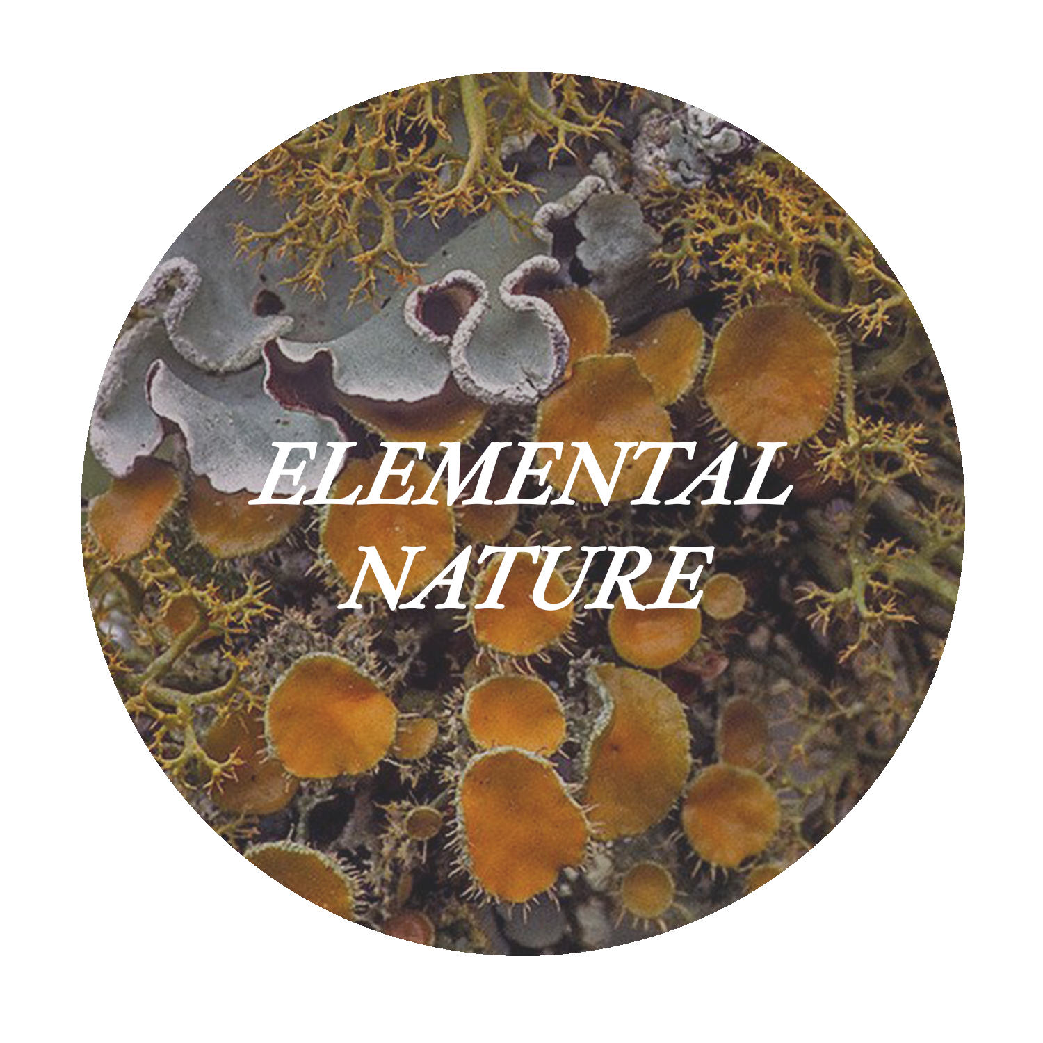 ELEMENTAL NATURE 