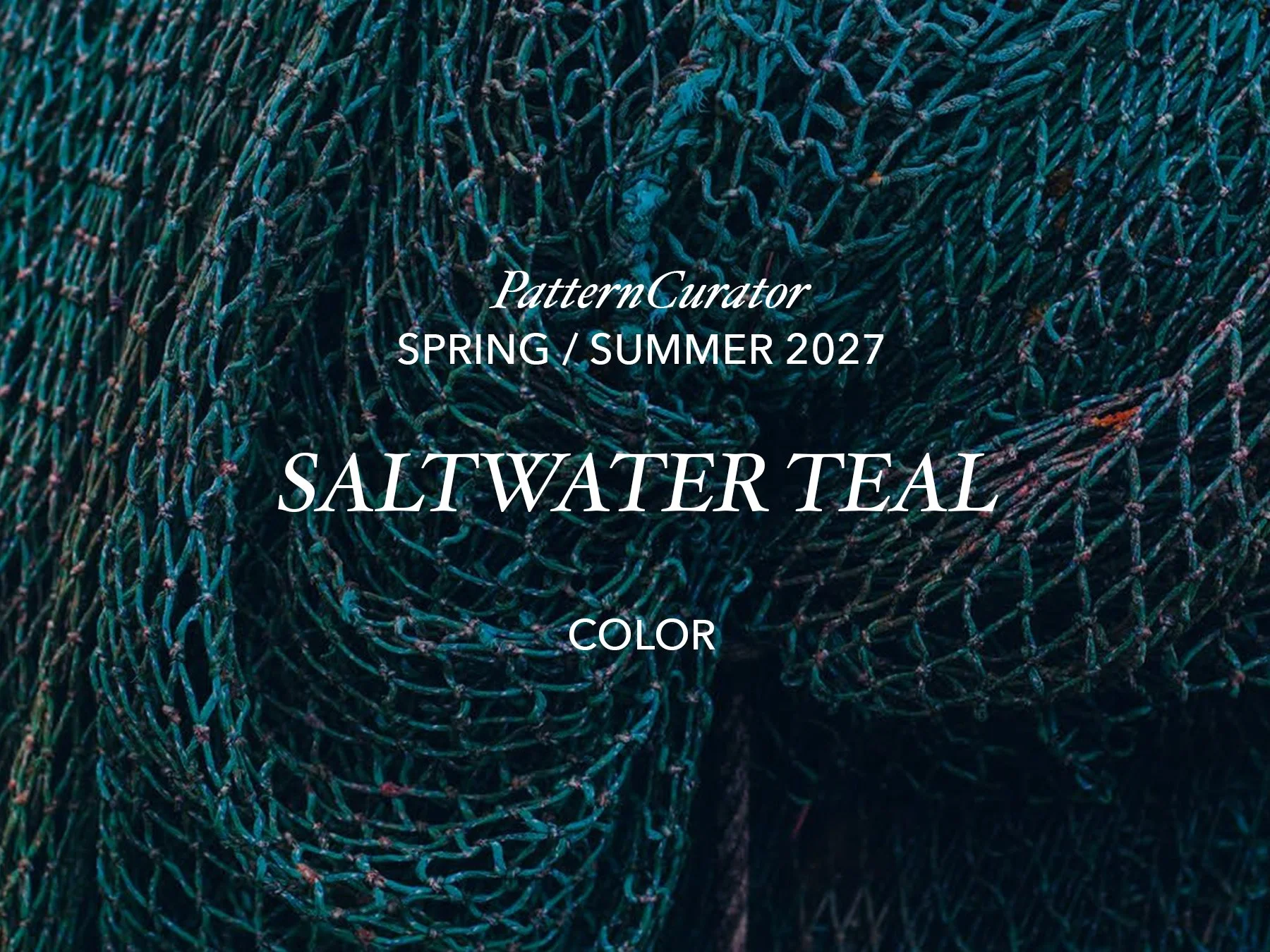 SALTWATER TEAL