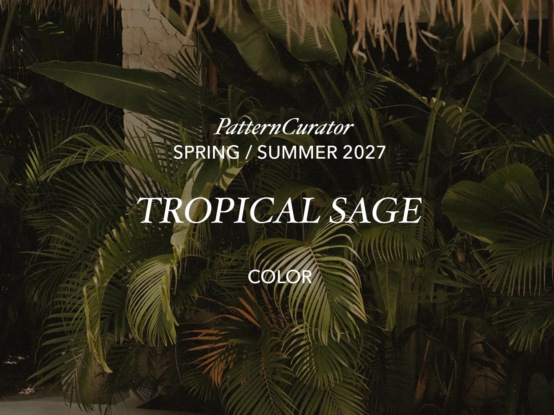 TROPICAL SAGE