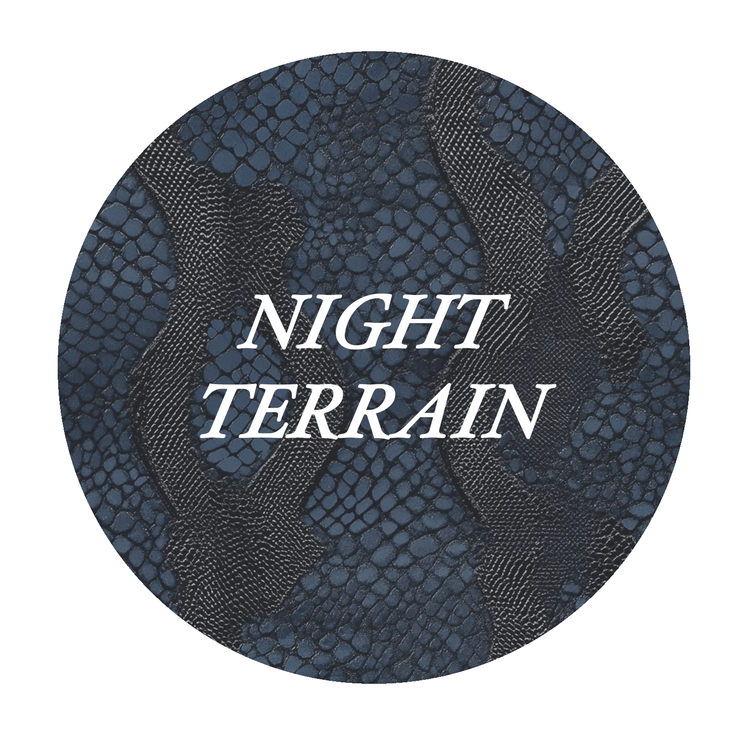 NIGHT TERRAIN