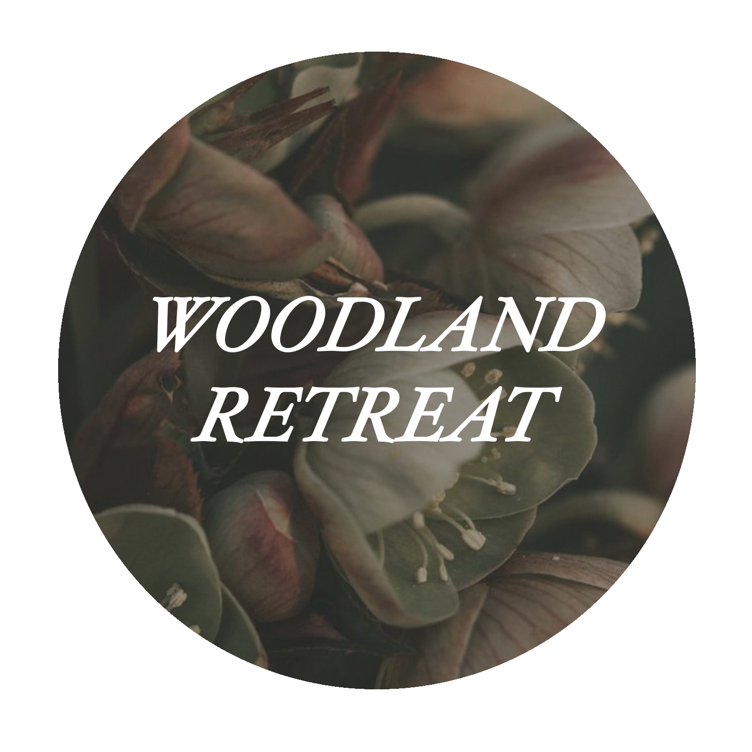 WOODLAND RETREAT