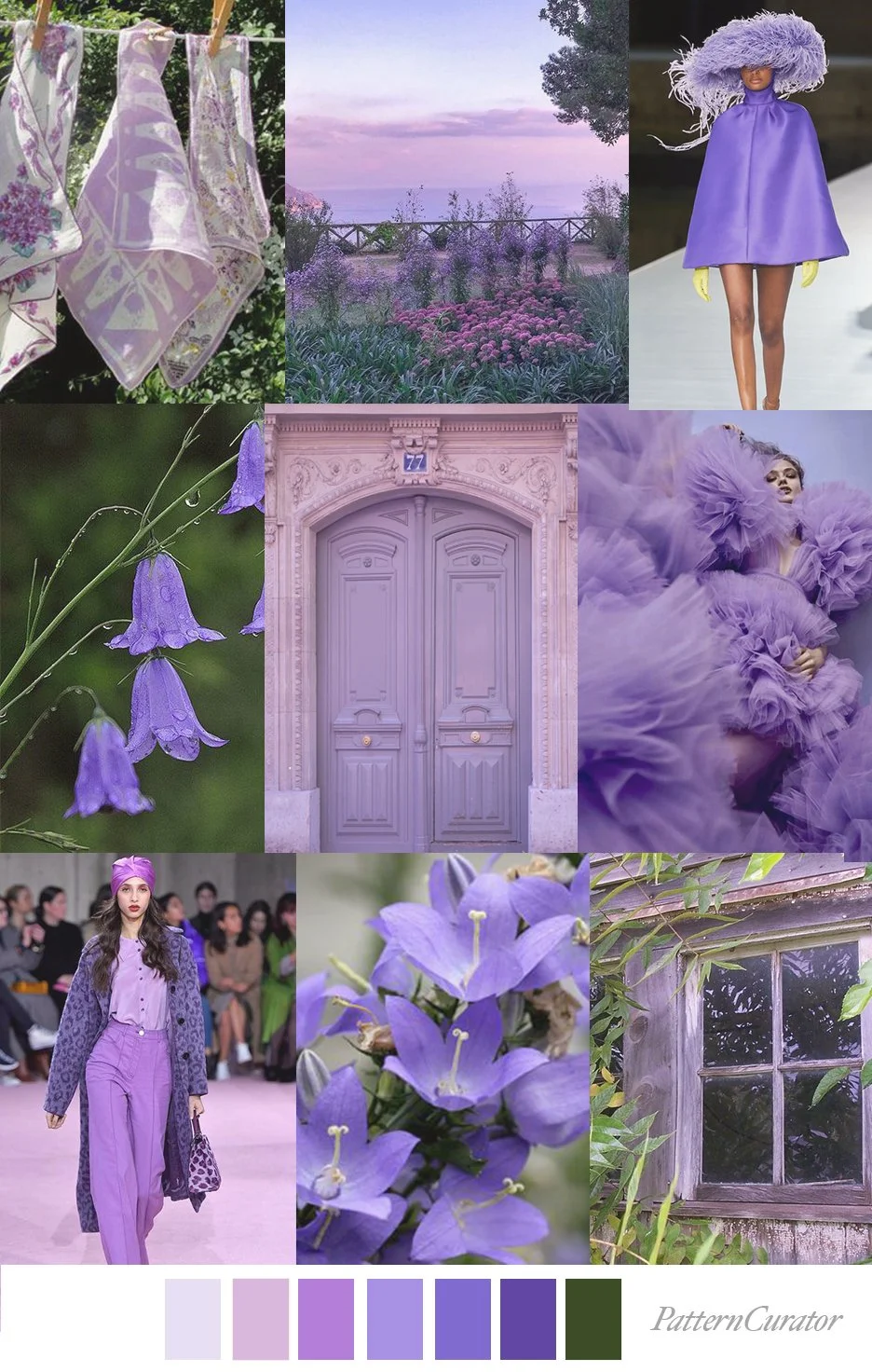 BELLFLOWER BLOSSOM