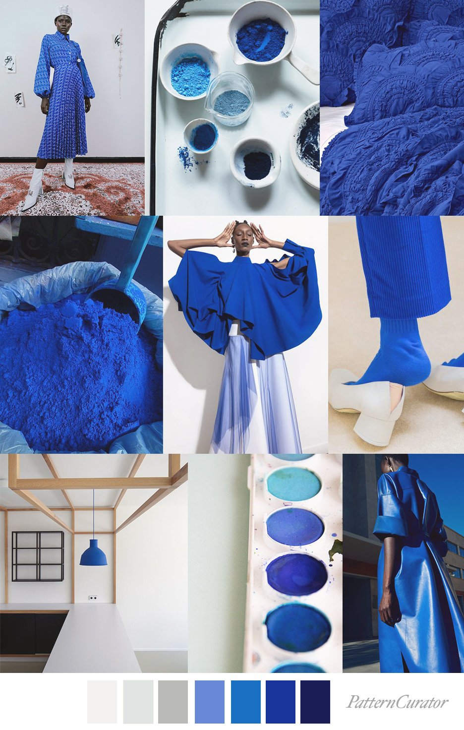 DELPHINIUM BLUE