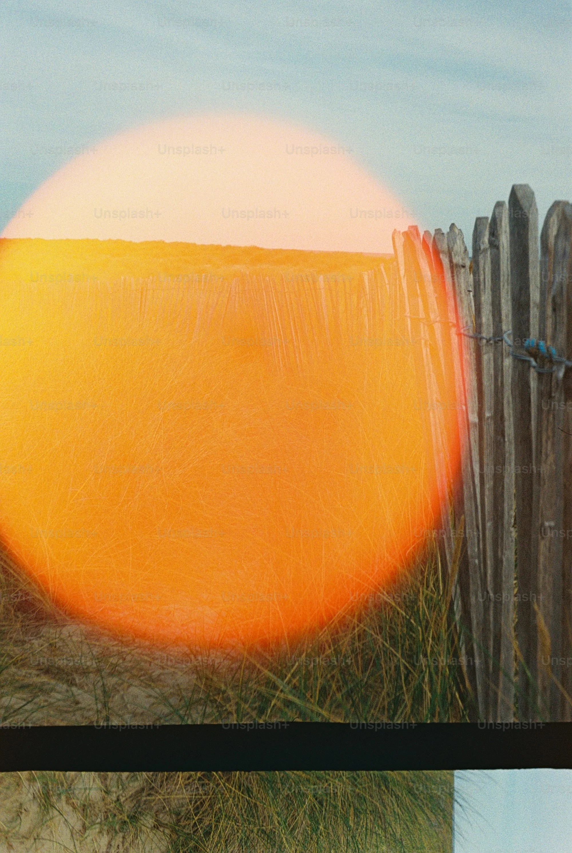 A wooden picket fence beside tall beach grass with a large orange ligh.jpg