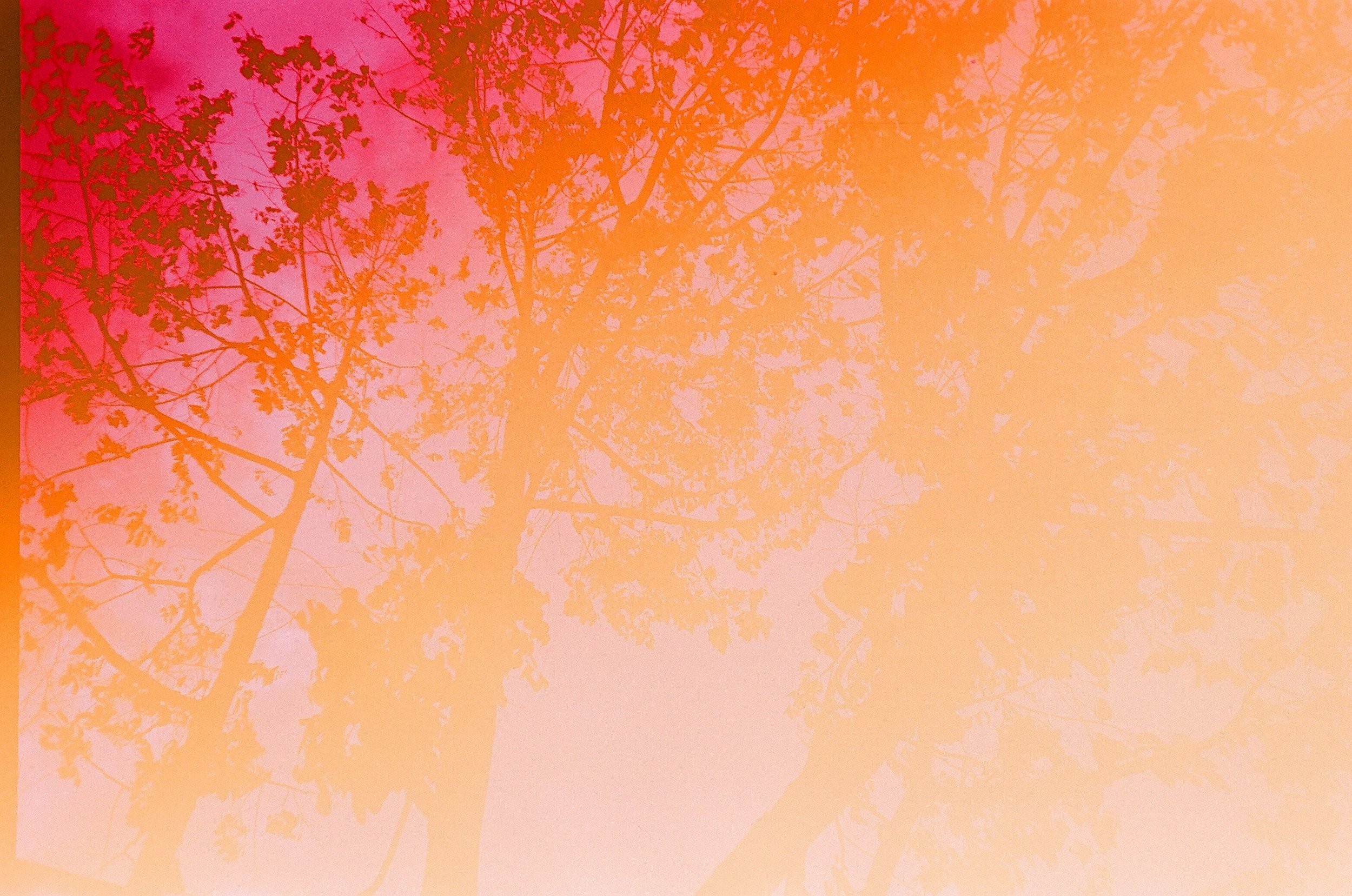 pexels-photo-573130.jpg