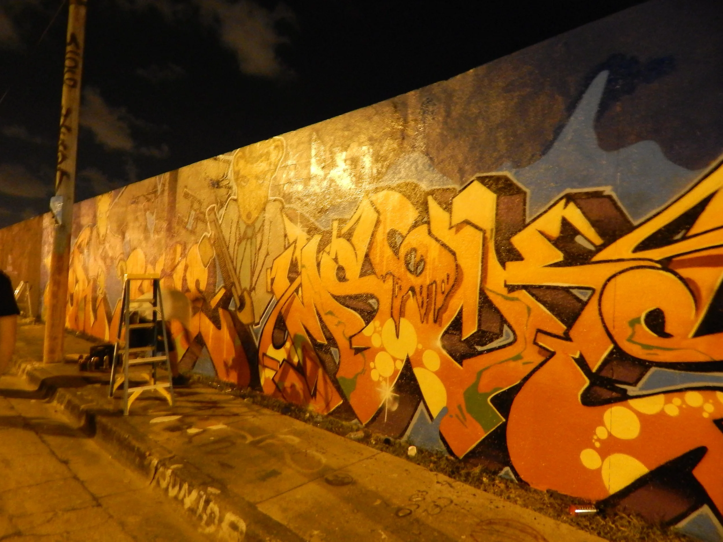 DSCN0713.JPG
