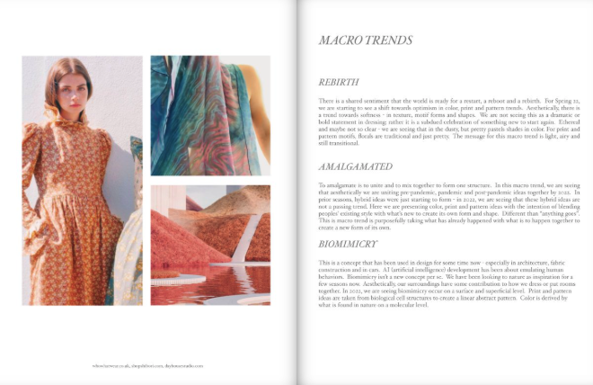 Pattern Curator Spring / Summer 22 Trend Stories