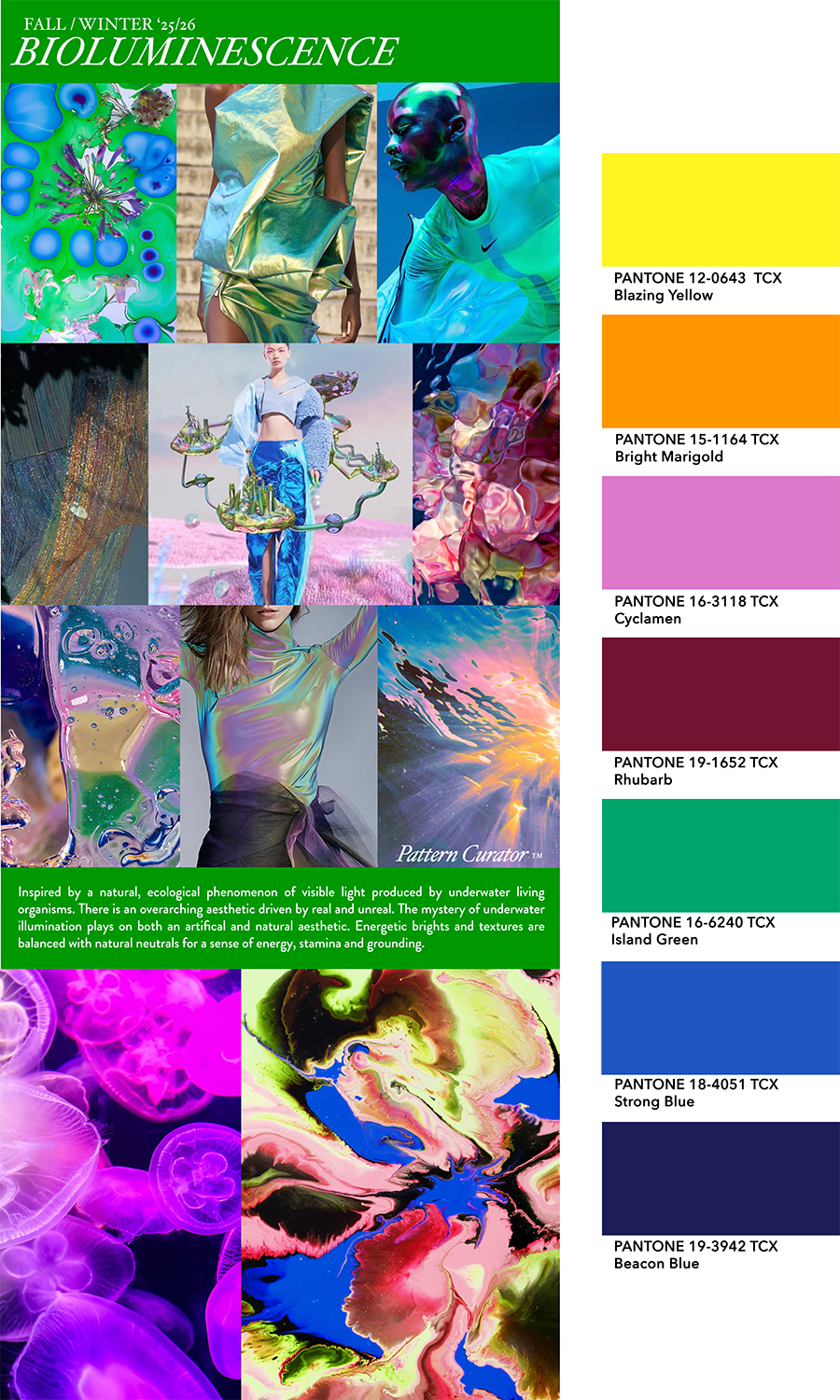 FW 25-26-ACTIVE - BIOLUMINESCENCE.png
