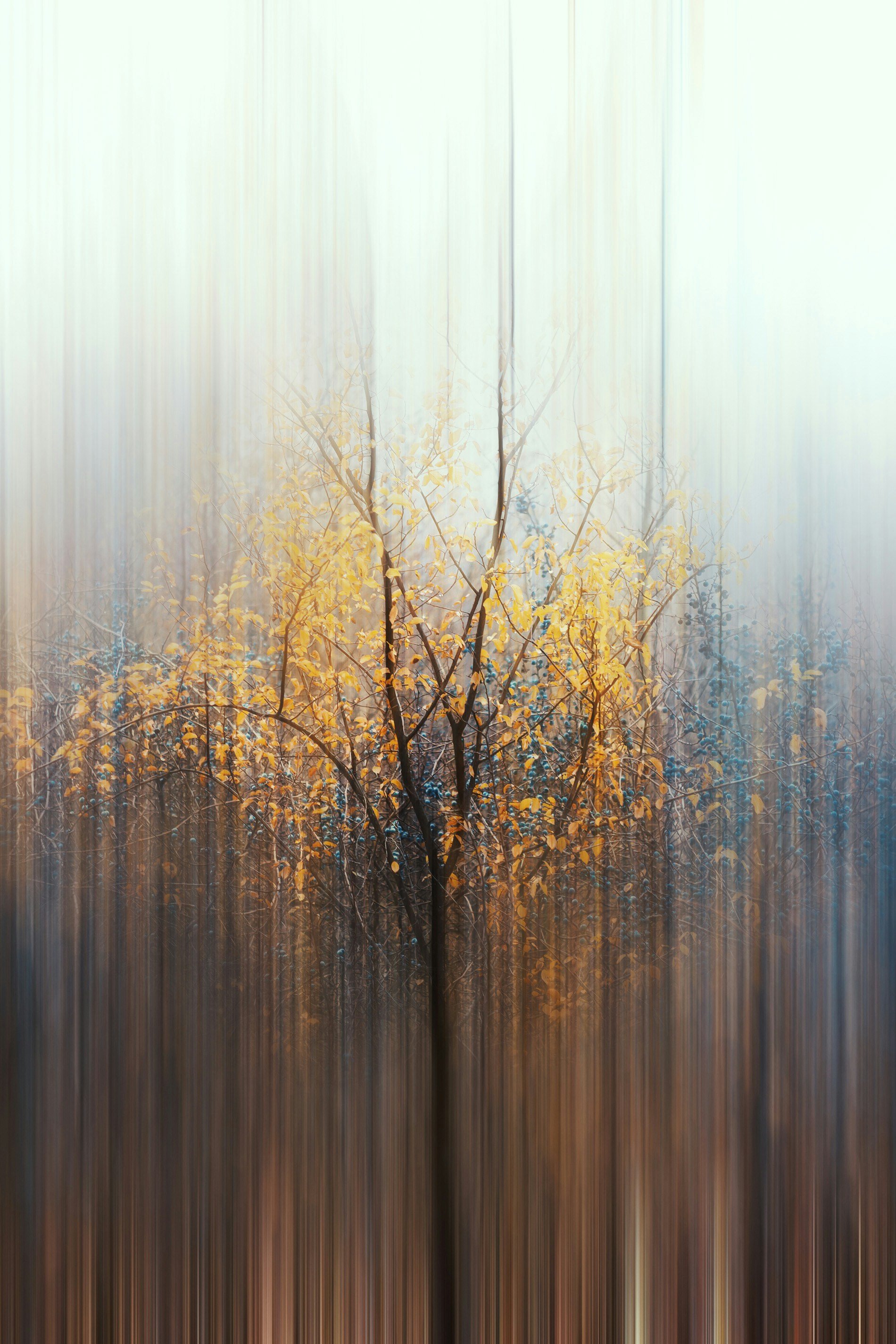 Blurred image of trees with yellow leaves in the foreground and a soft, light-colored background.