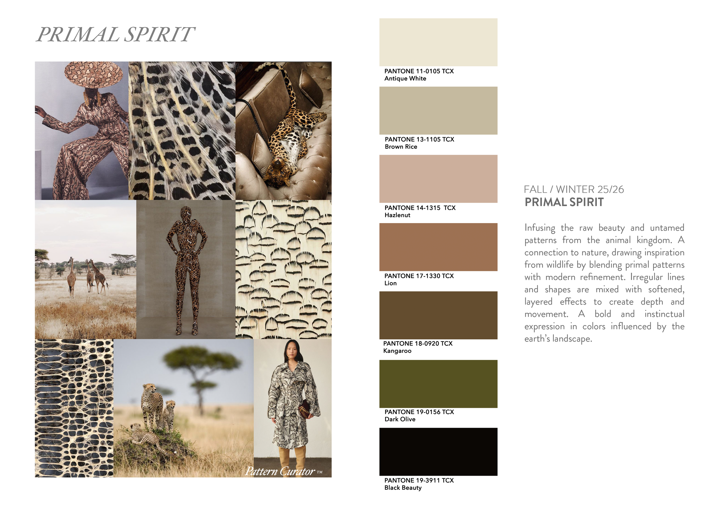 FW25-26-PRIMAL SPIRIT.png