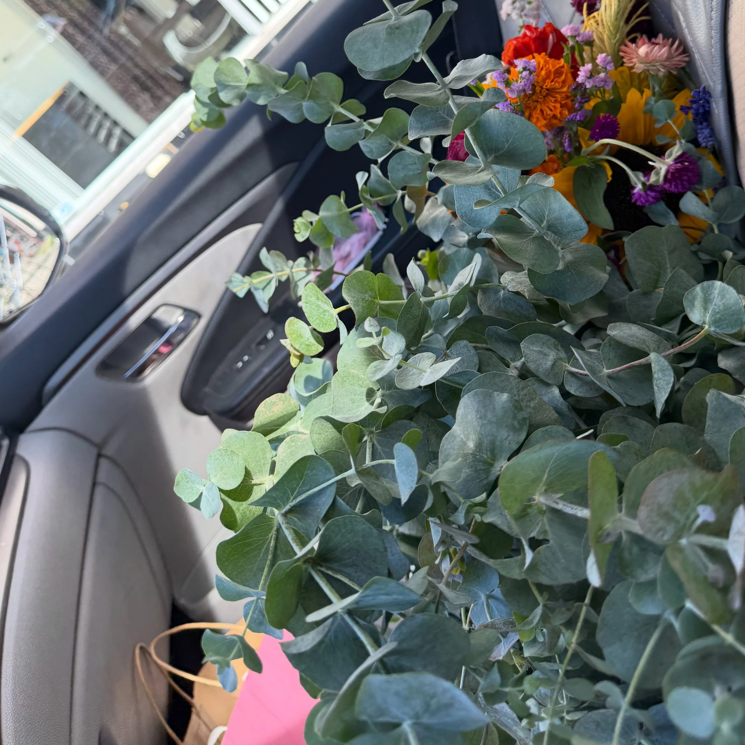 we are literally just girls 🌱