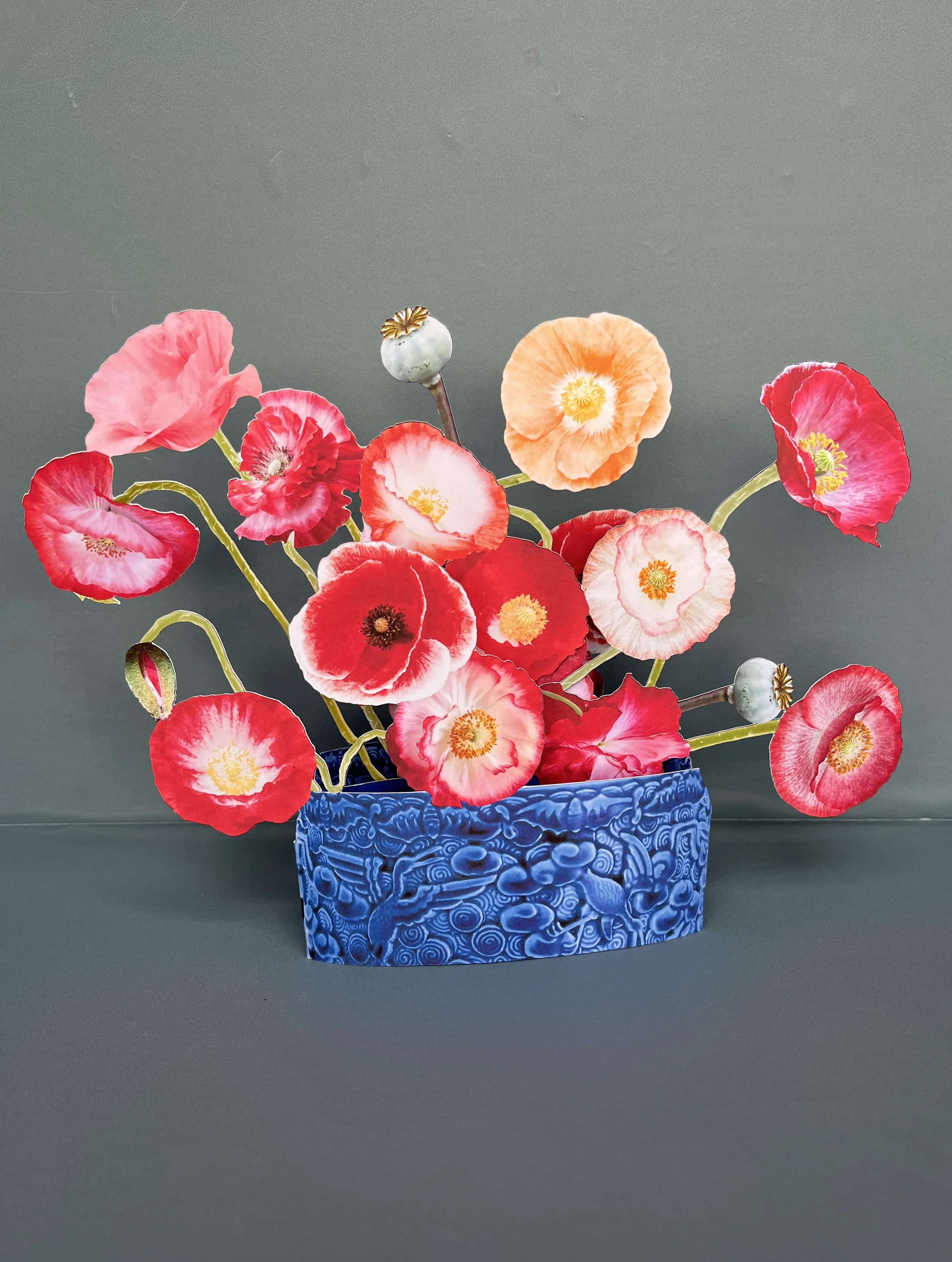 papaver.jpg