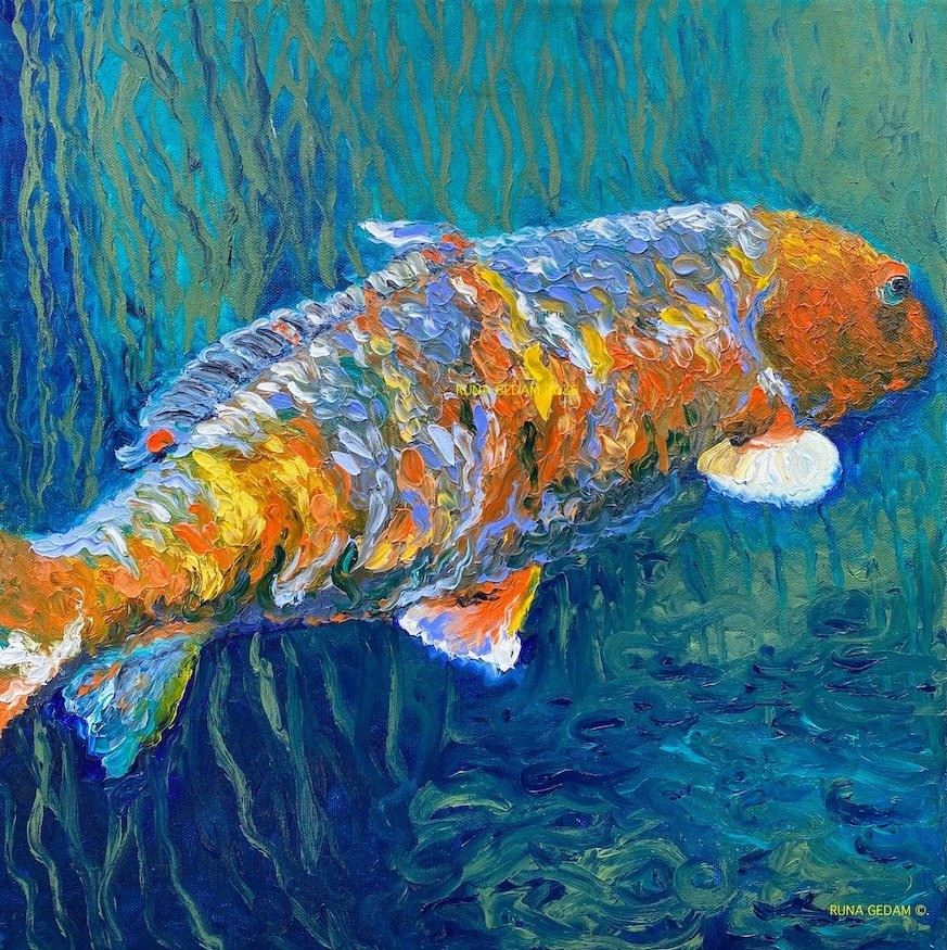 My Koi  I  14"  X 14" I  $195