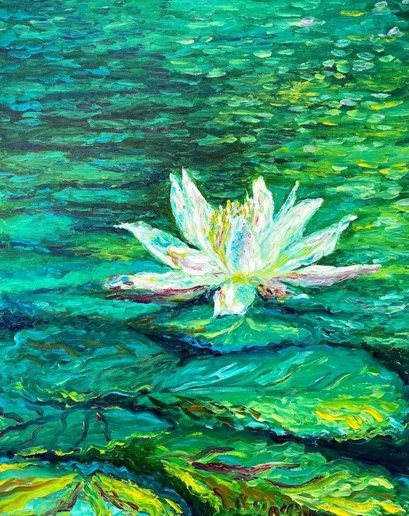 Lotus Sighting