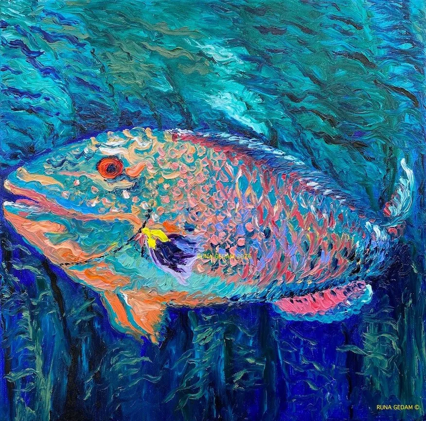 Kelp  I  14" X 14" I $195