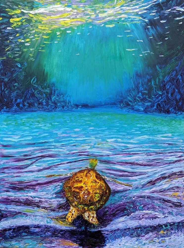 The Turtle and The Sea