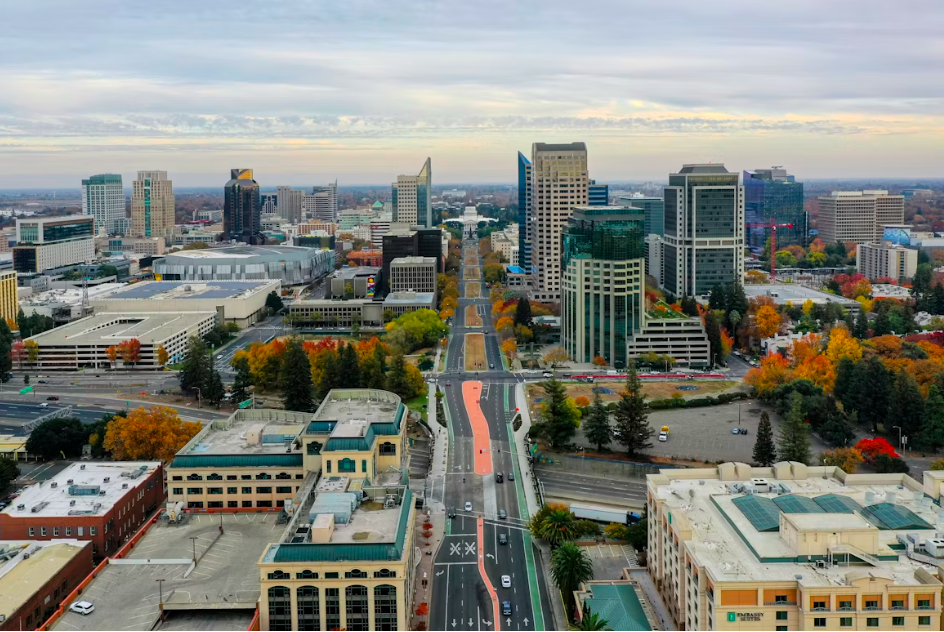 A city skyline with tall modern buildings, colorful autumn trees, and a wide road running through the center.