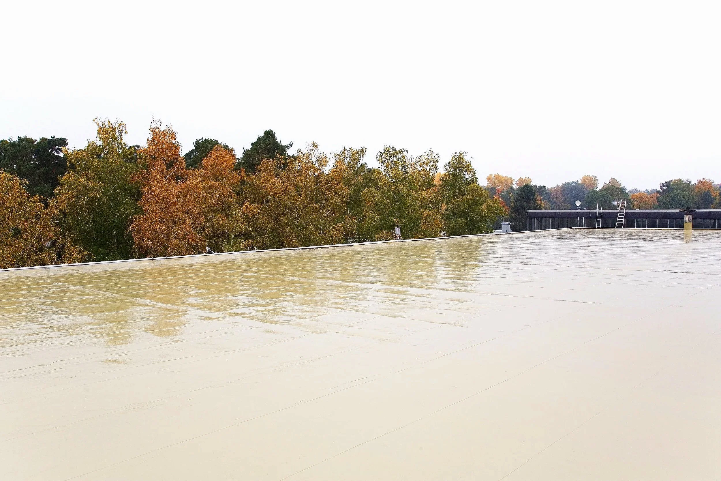 19-Schifferstadt-Fa+Staehle-2K-Pur.jpg