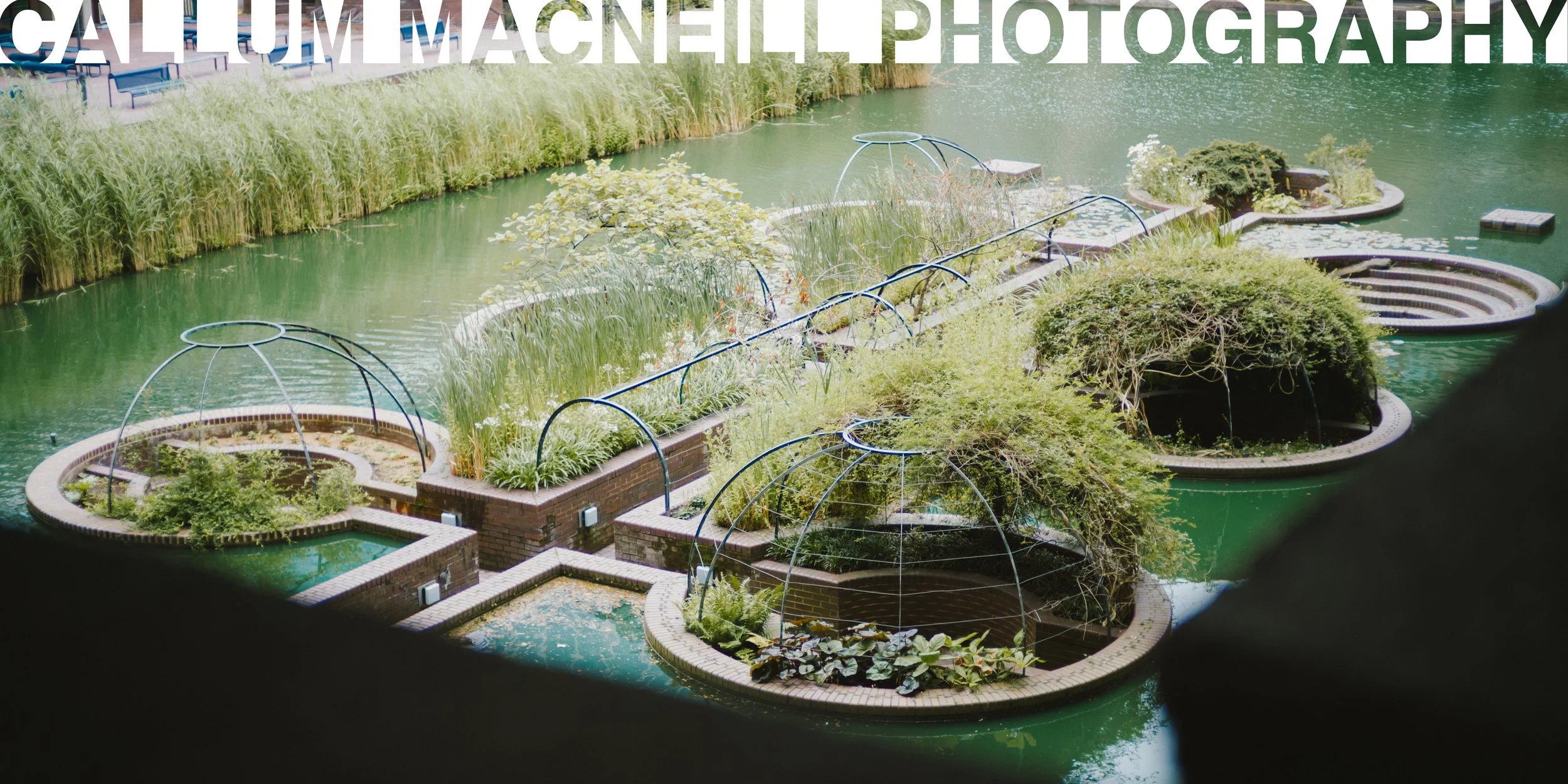A serene water garden with multiple circular brick planters filled with lush greenery and water plants, surrounded by calm green water and tall reeds along the edge.
