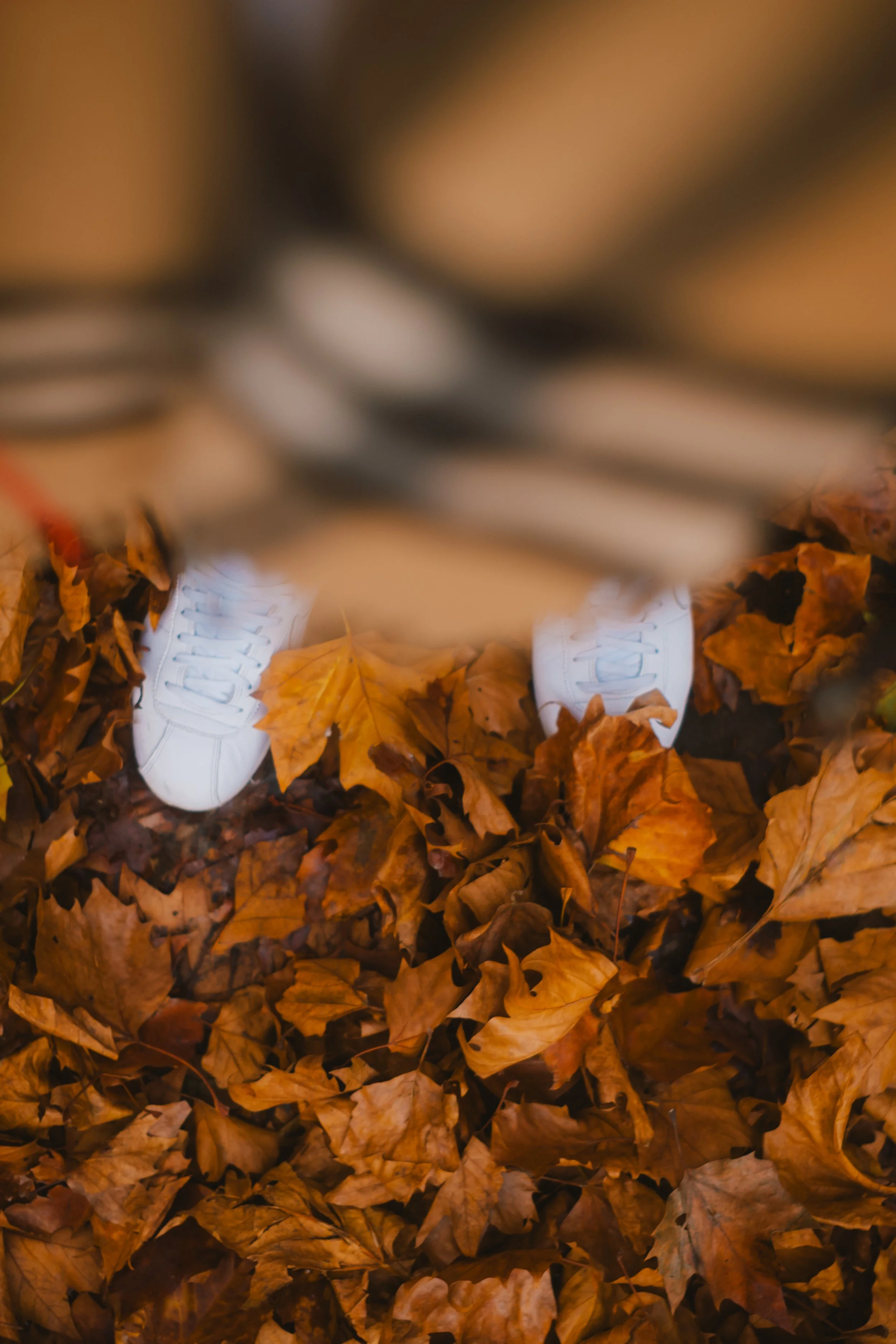 A top-down view of white sneakers on a bed of fallen autumn leaves.