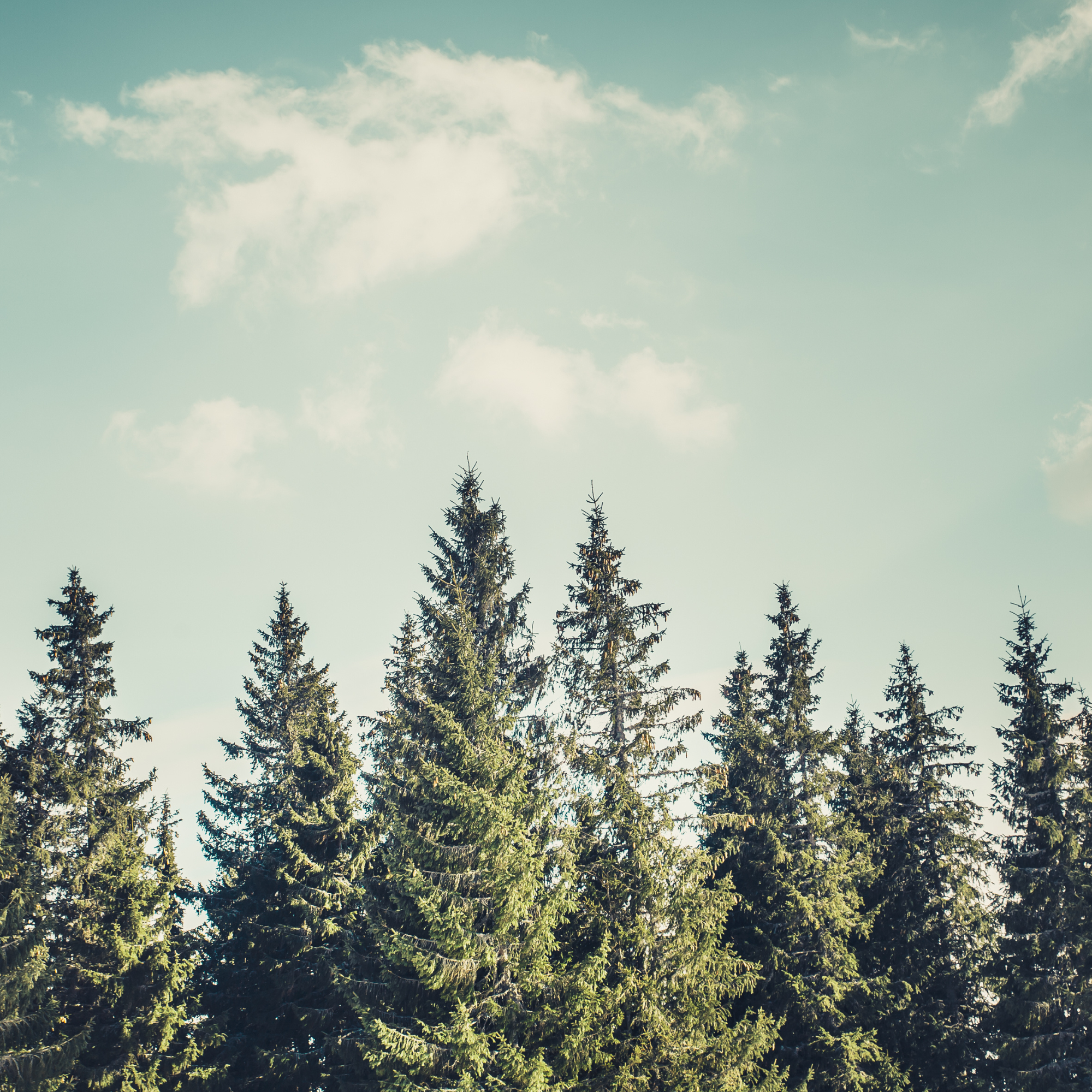 How do I Identify my company’s emissions sources?