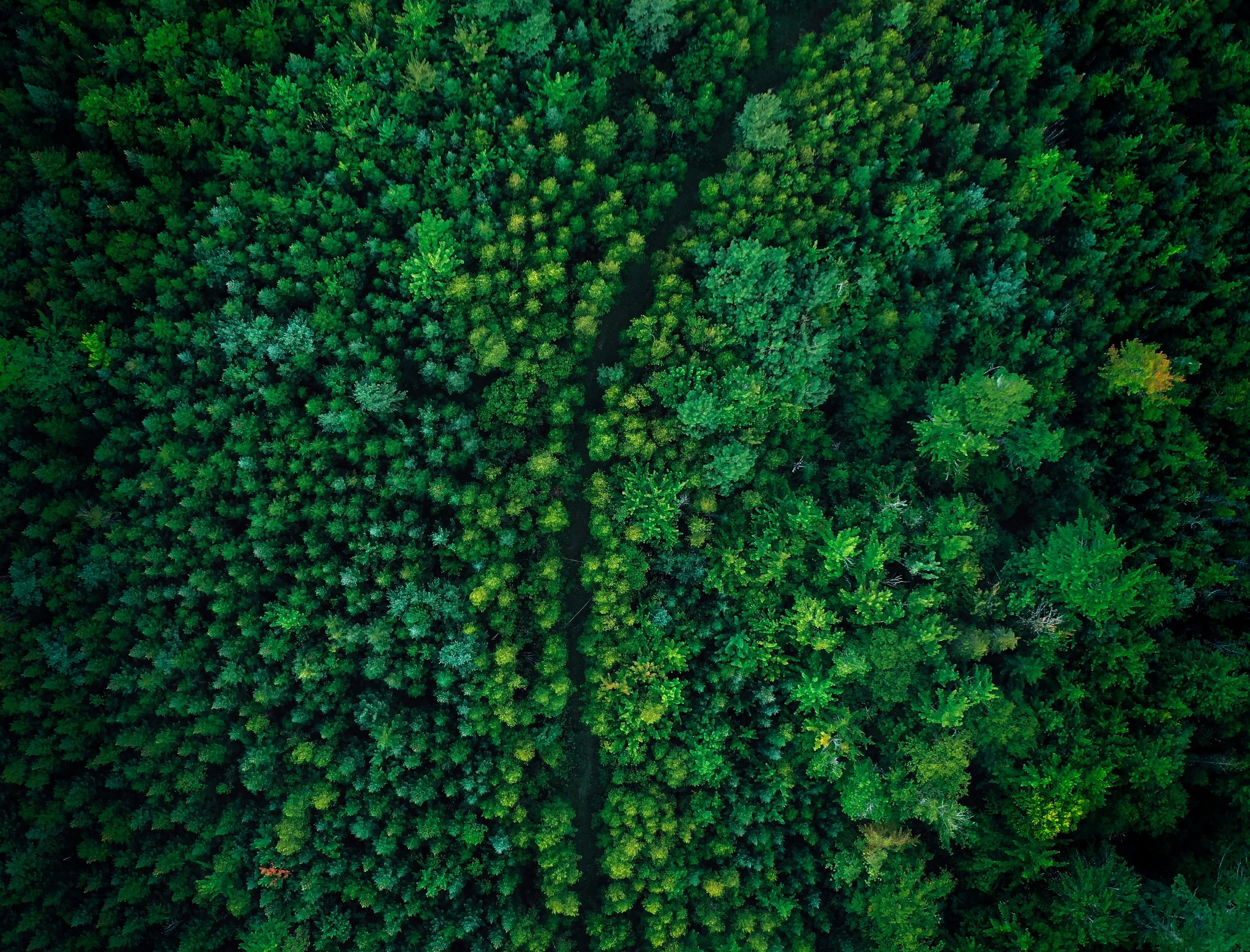 How to Choose the Right Carbon Accounting Software