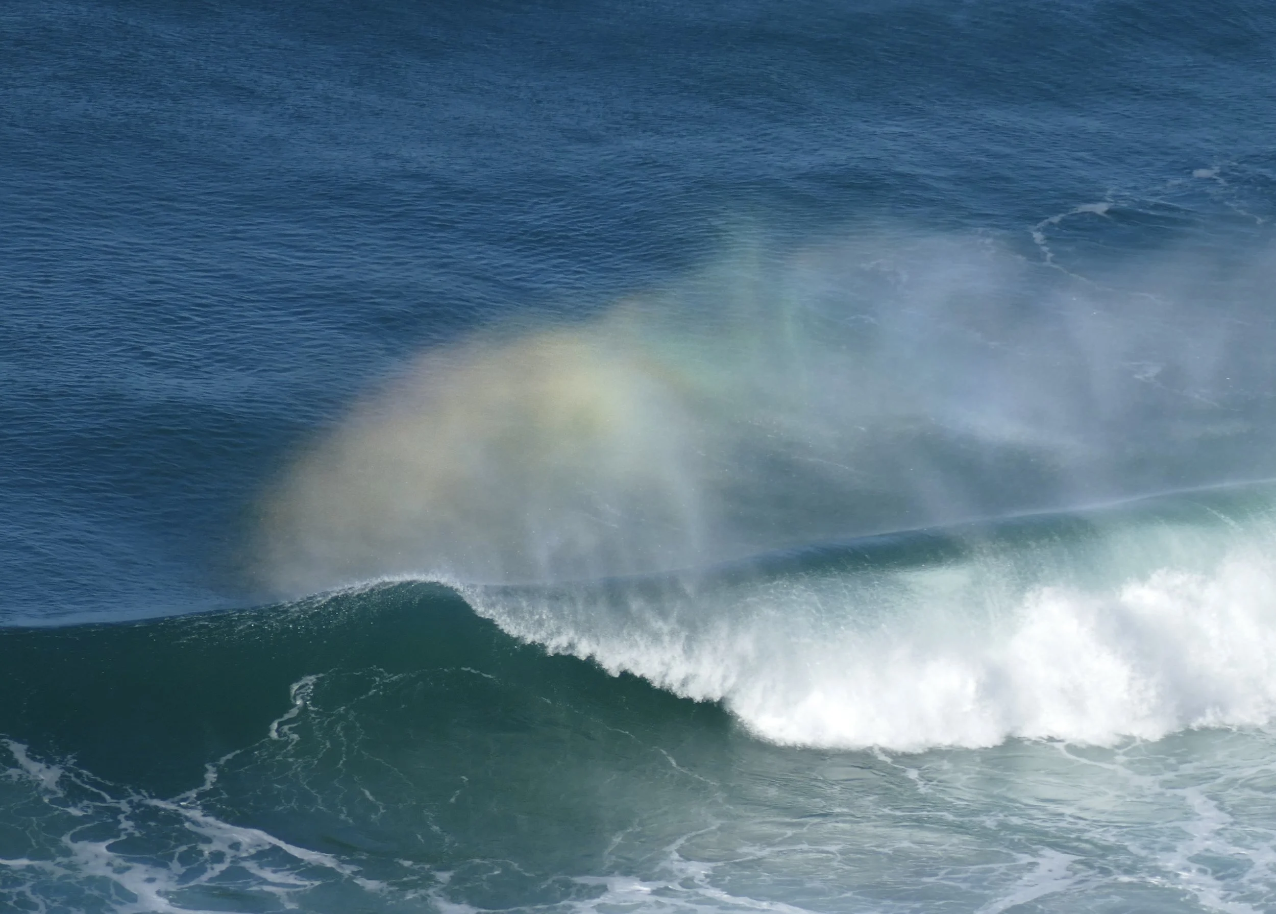 Copy of P1040713.JPG