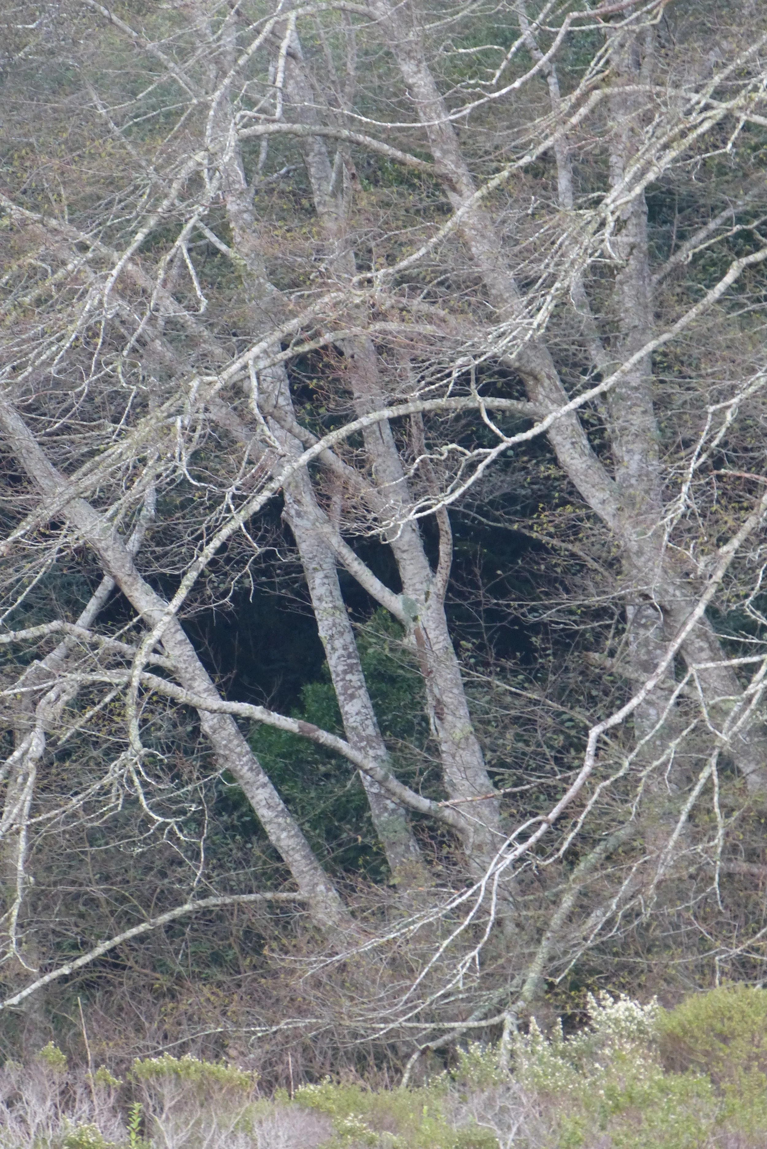 P1050428.jpg