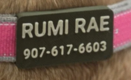 Rrae2.jpg