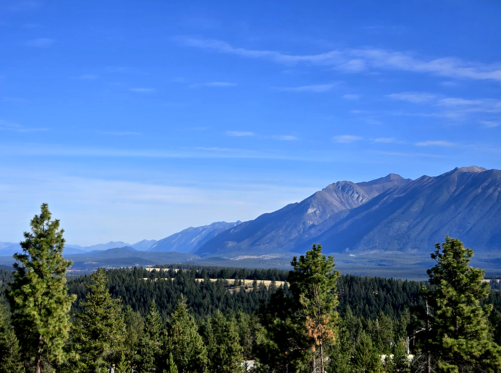 A scenic landscape featuring a dense forest of pine trees in the foreground, with a view of the Rocky Mountains in the background under a partly cloudy blue sky.