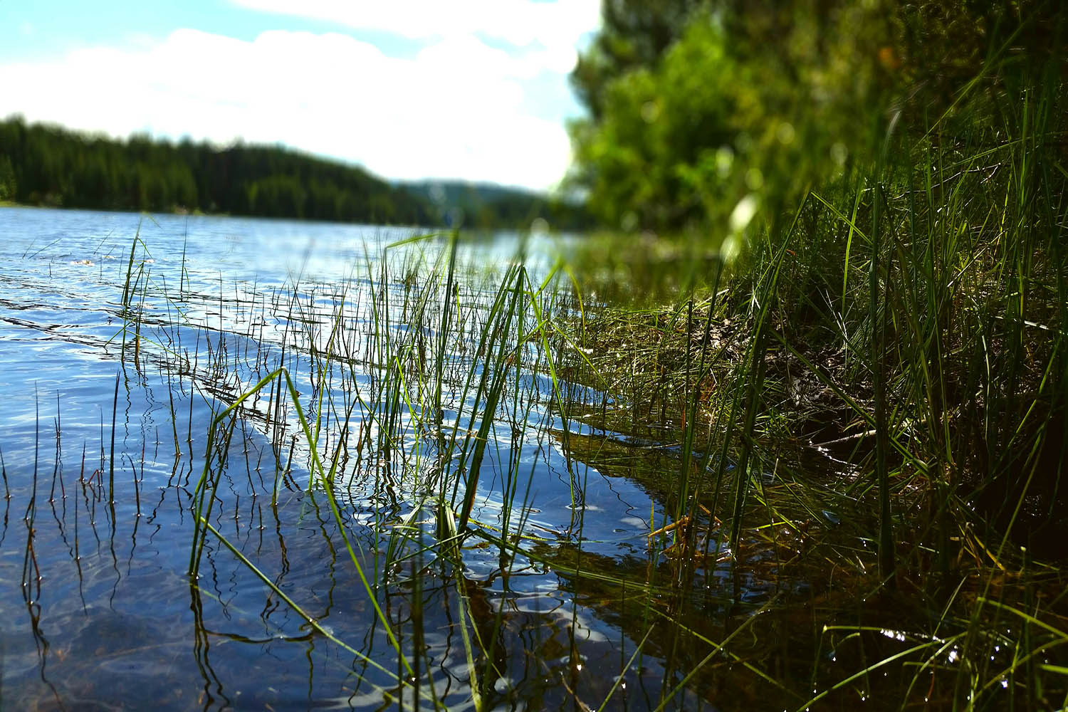 McCullough Lake