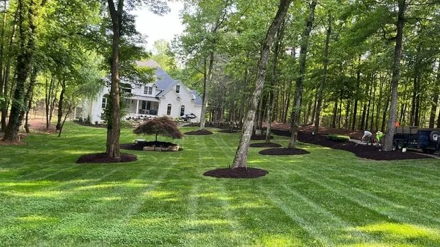 planting 8.JPG
