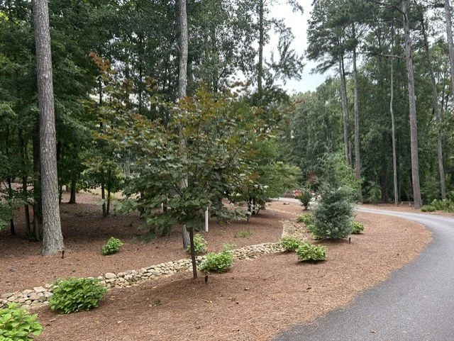 plantings 1.jpg