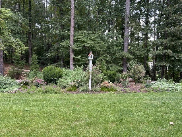 plantings 2.jpg