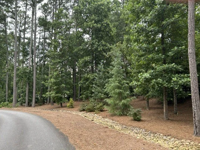 plantings  5.jpg