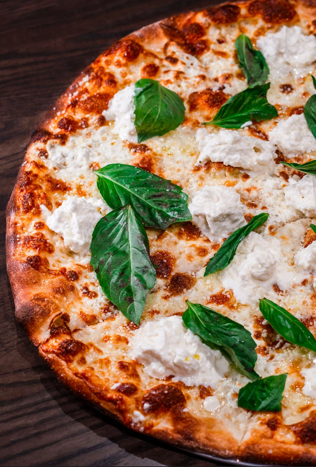 A close-up of a pizza topped with cheese, basil leaves, and dollops of ricotta cheese on a dark wooden surface