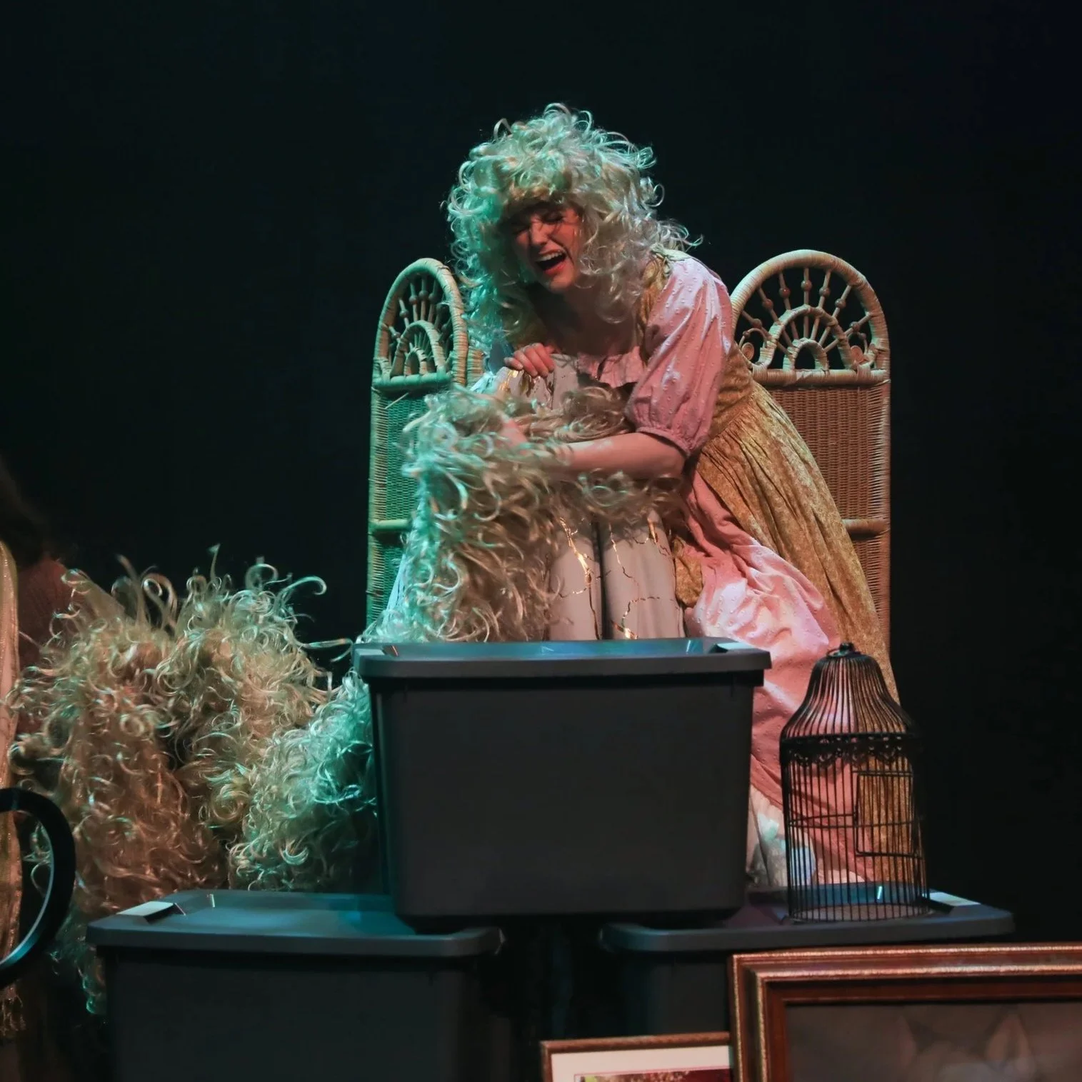 RAPUNZEL

 | Into the Woods
 | Middleton Player's Theatre
 | 2025

 | Photo Credit: Jenny Washburn