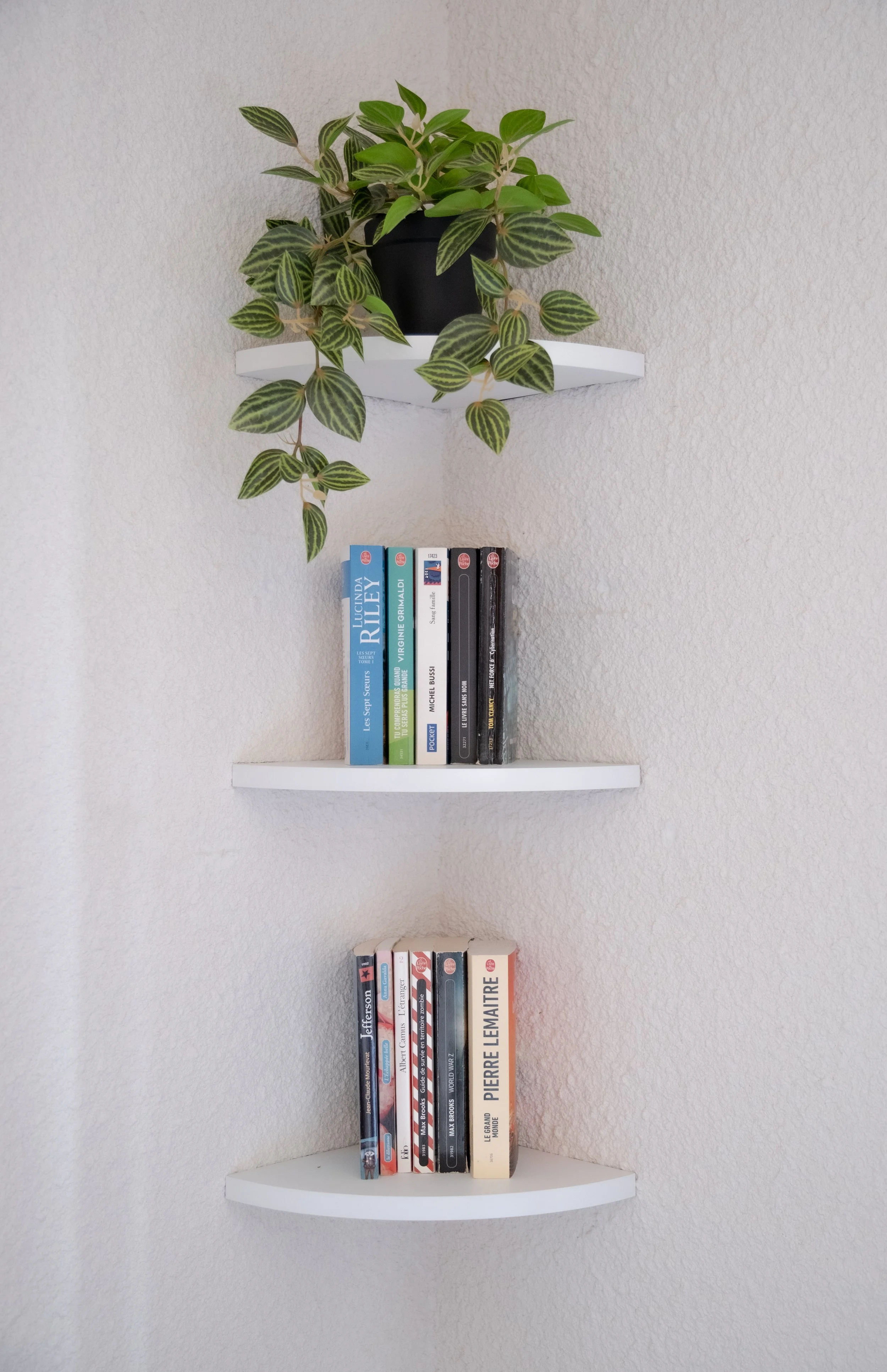 Sélection de livres disponibles au studio