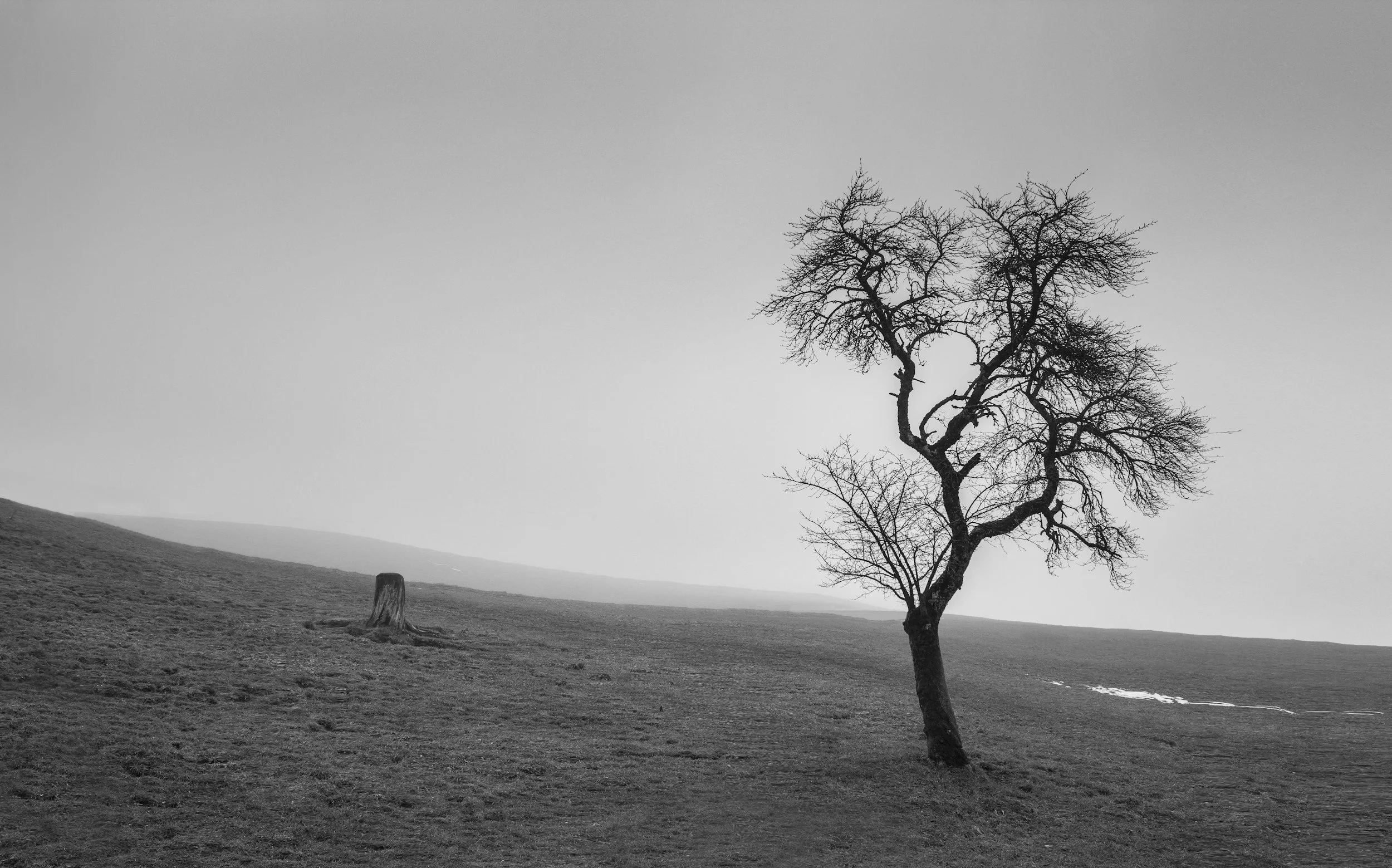 unsplash-image-fM07c9VGCP8.jpg