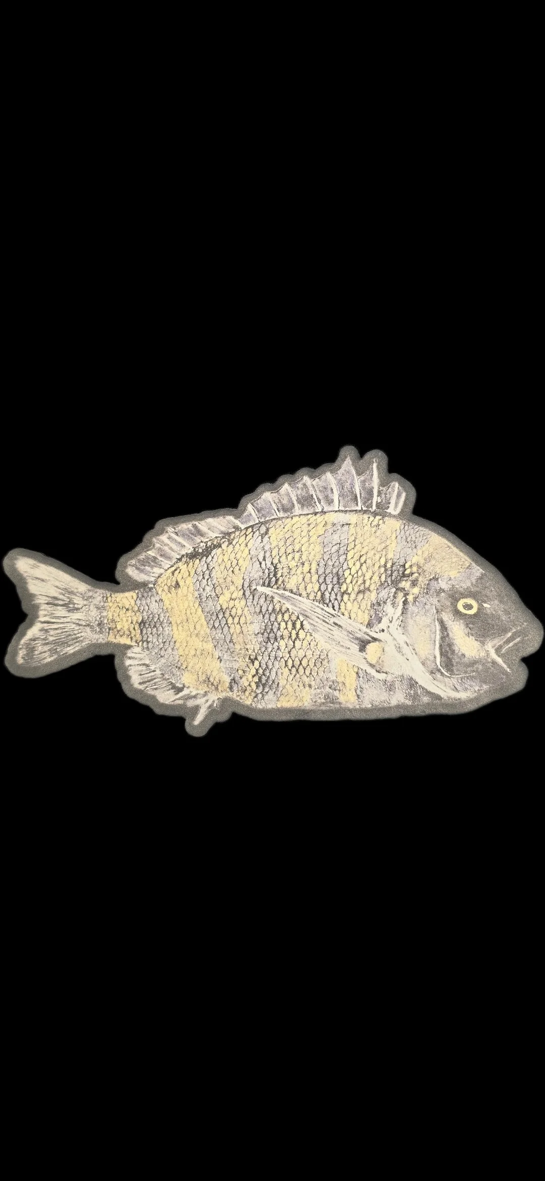 Sheephead- Glow-in-the-dark Hat Patch