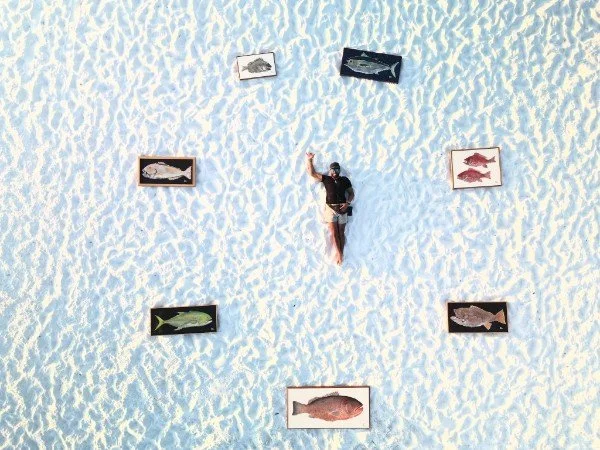 drone_beach_memorobilia.jpg