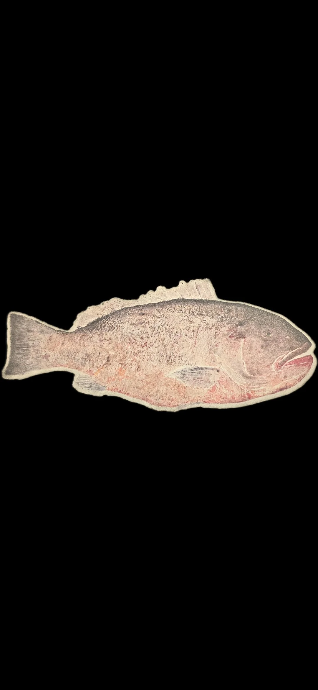 Cubara Snapper- Glow-in-the-dark Hat Patch