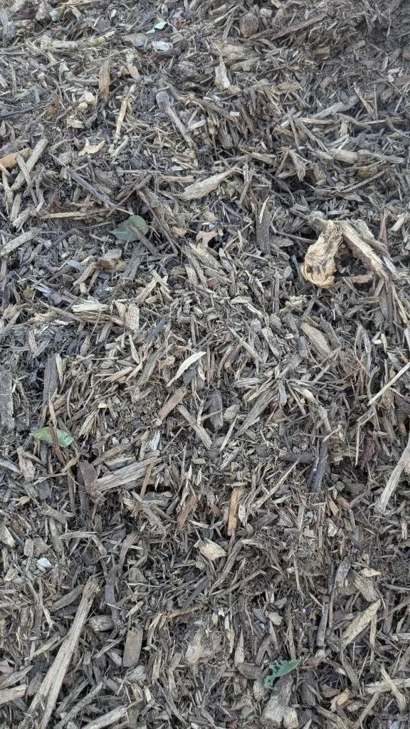 natural-576x1024.jpg