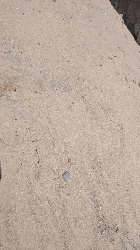 White Beach Sand