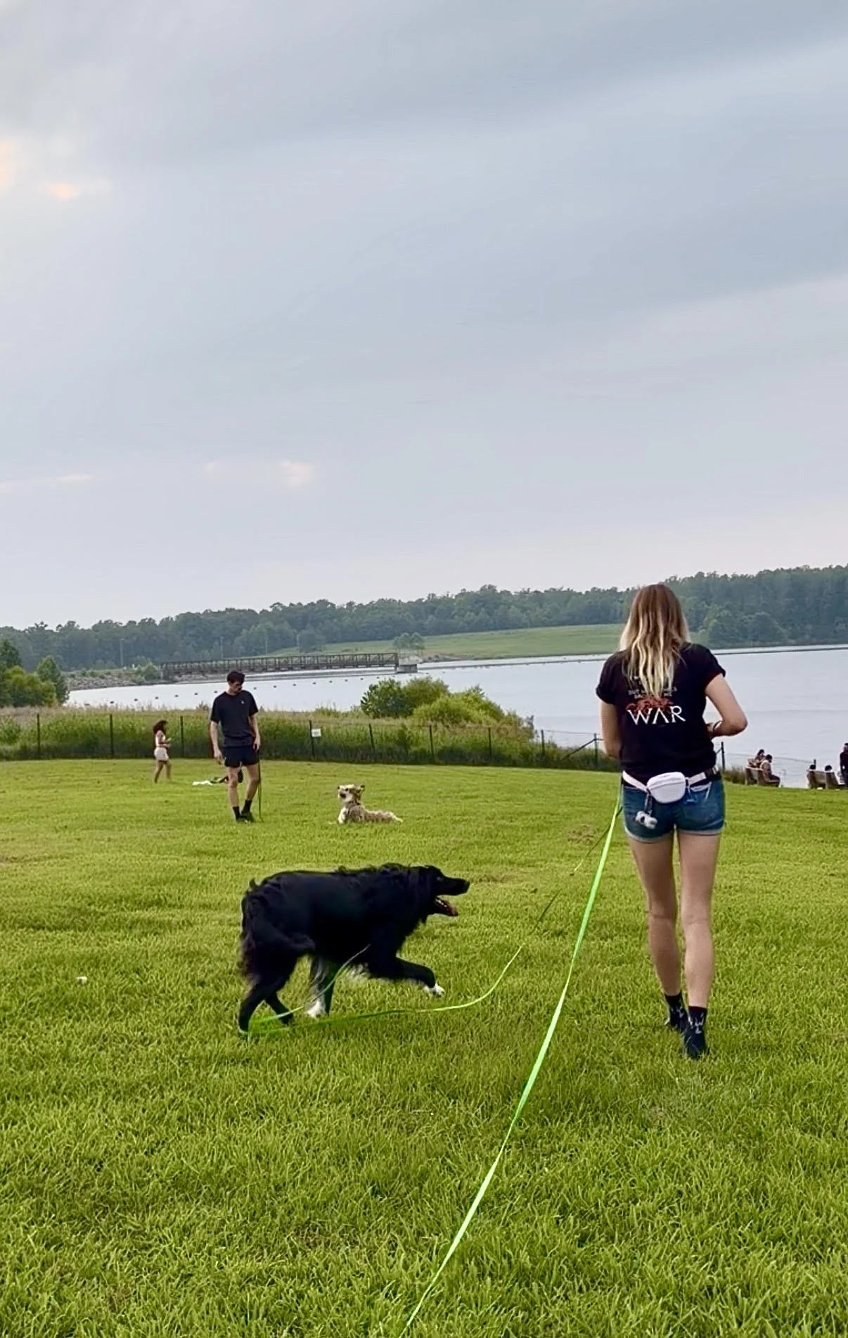 People and dogs in a park near a body of water, with a cloudy sky and distant trees in the background.
